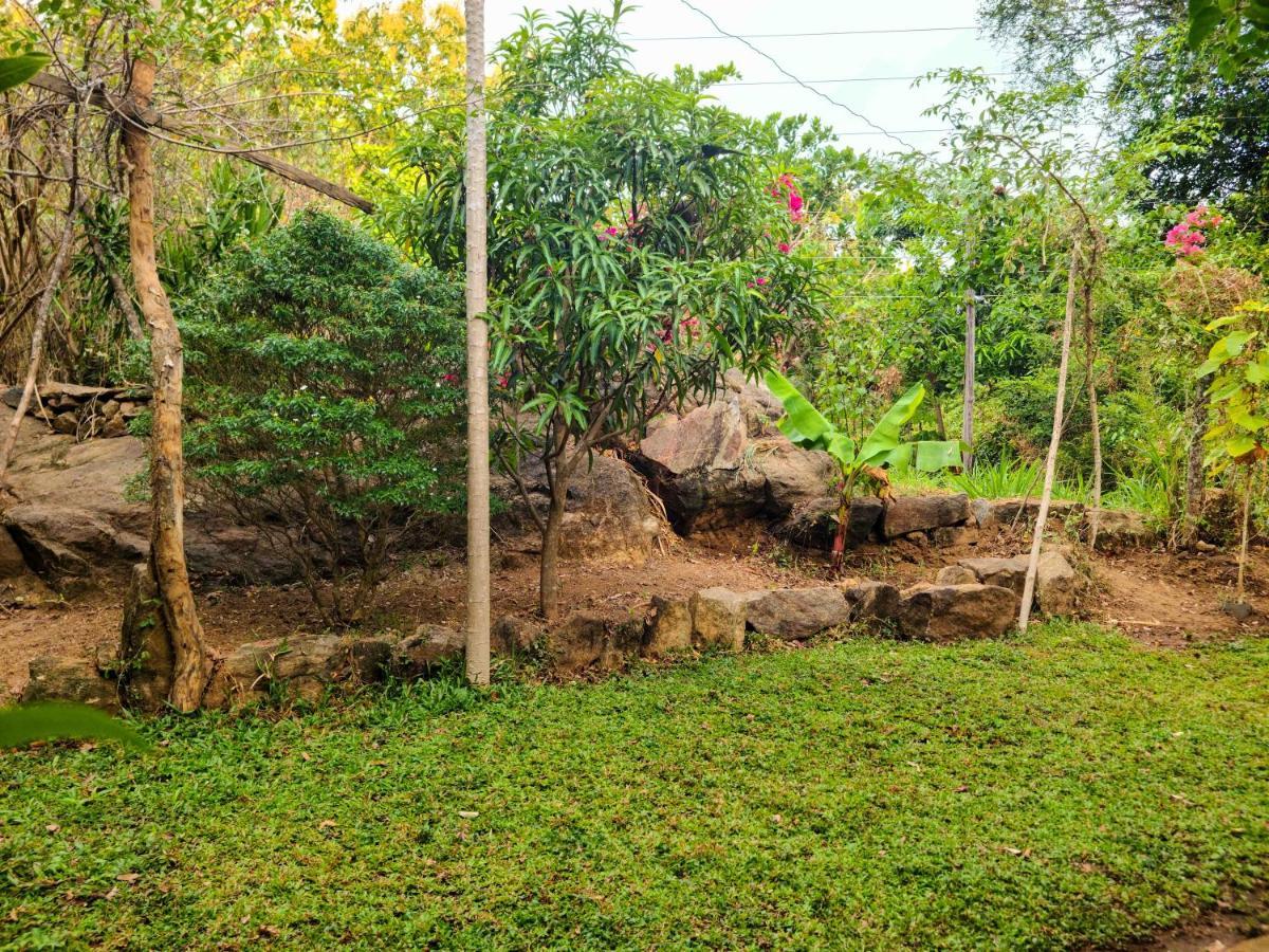 Woodholic Homestay シギリヤ エクステリア 写真