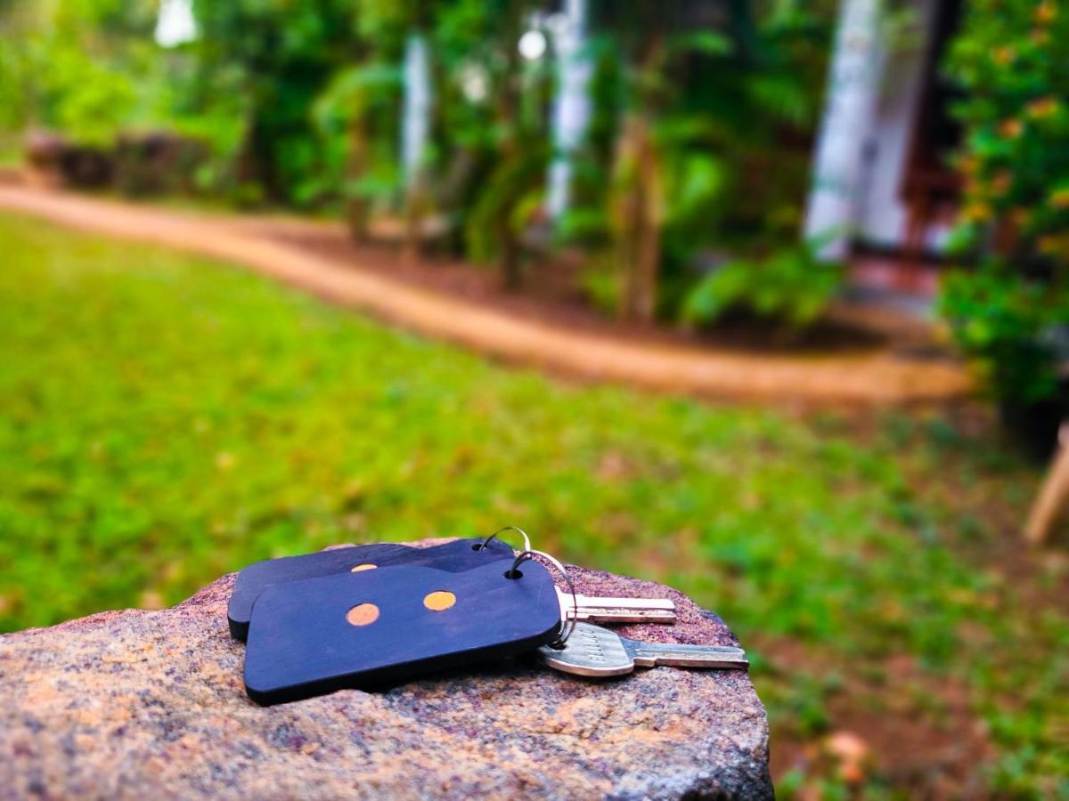 Woodholic Homestay シギリヤ エクステリア 写真