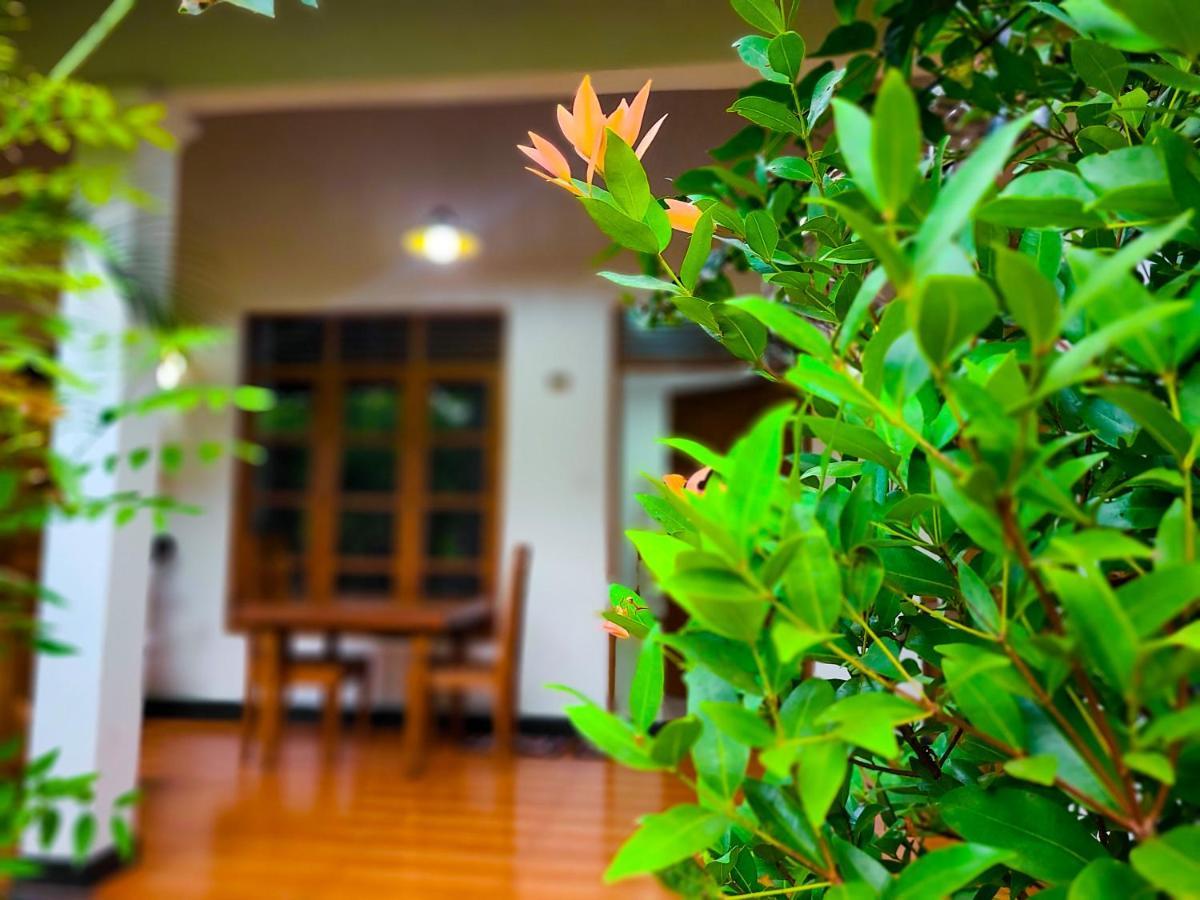 Woodholic Homestay シギリヤ エクステリア 写真