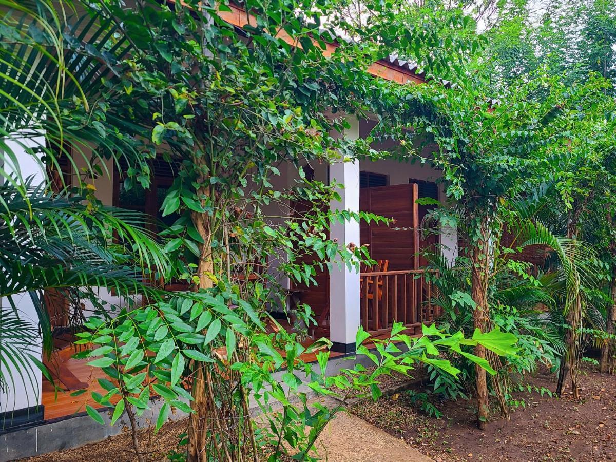 Woodholic Homestay シギリヤ エクステリア 写真