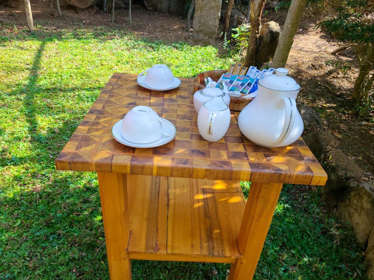 Woodholic Homestay シギリヤ エクステリア 写真