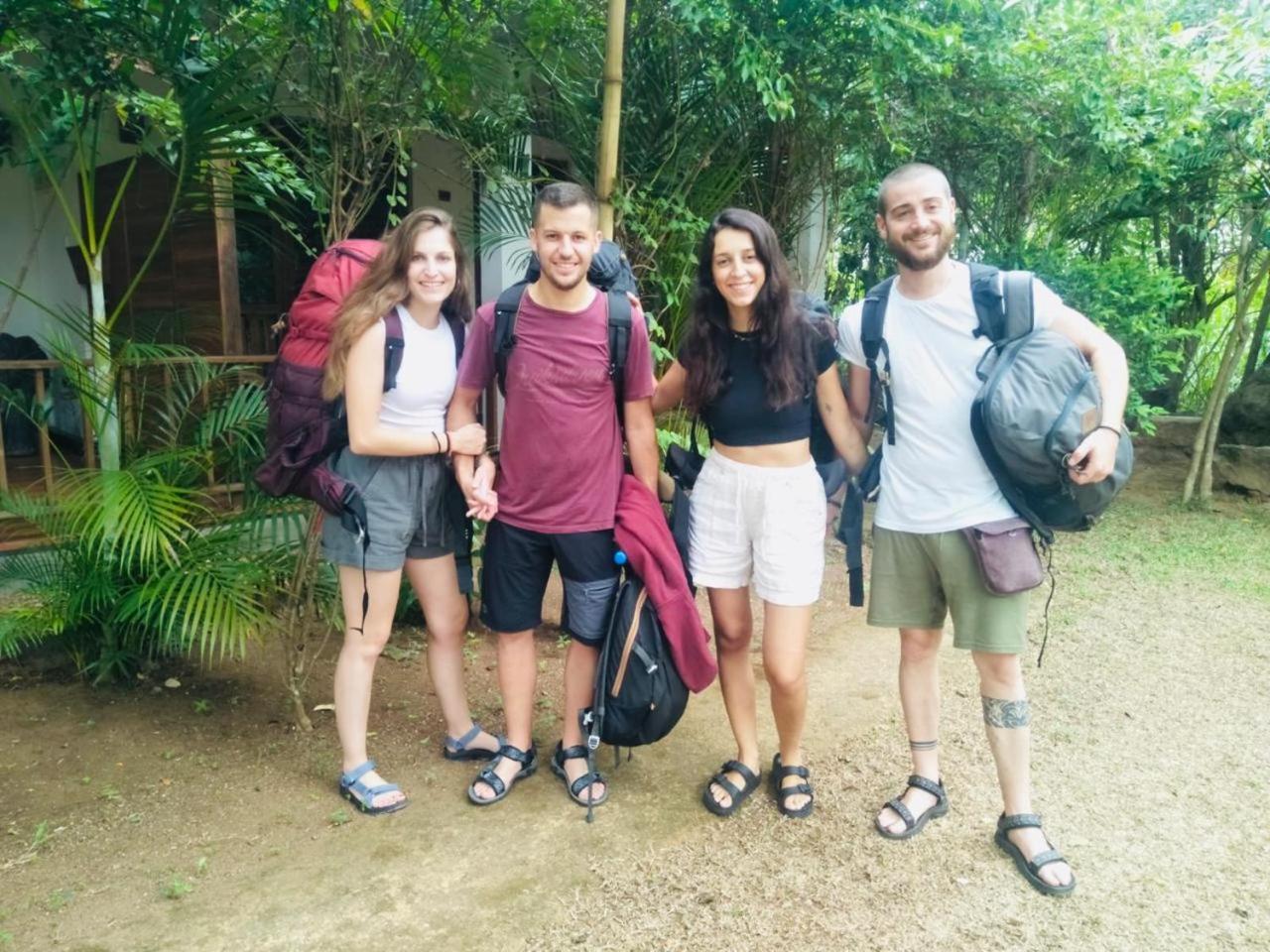 Woodholic Homestay シギリヤ エクステリア 写真