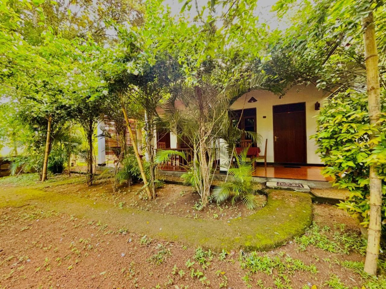 Woodholic Homestay シギリヤ エクステリア 写真