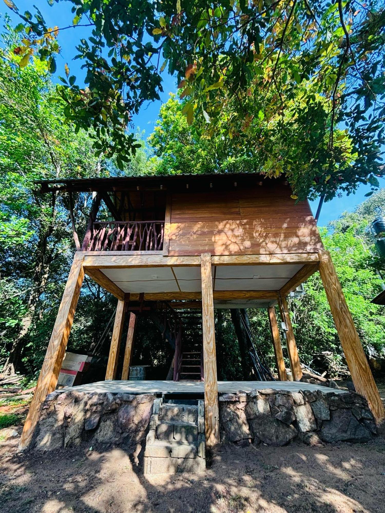 Woodholic Homestay シギリヤ エクステリア 写真